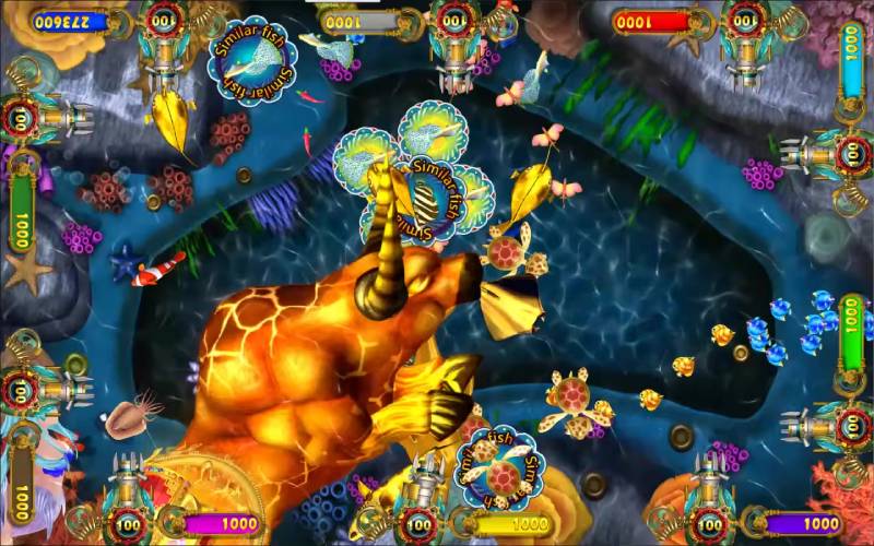 Cạm bẫy thường gặp khi phân biệt cá