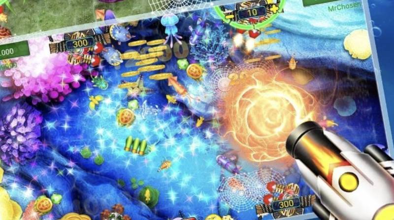 Canh thời điểm cá xuất hiện theo vòng tuần hoàn