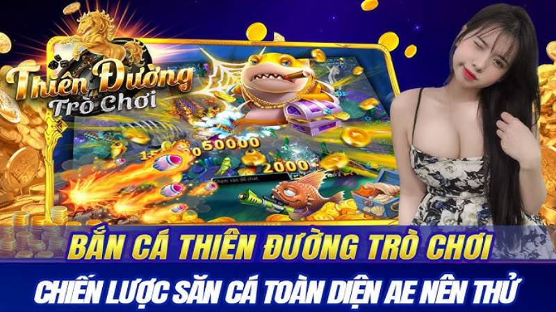 Chiến thuật bắn cá TDTC hiệu quả cho người mới