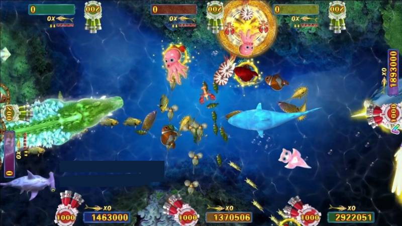 Ưu tiên cá nhỏ và cá bơi theo đàn